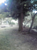 20101011150524.jpg